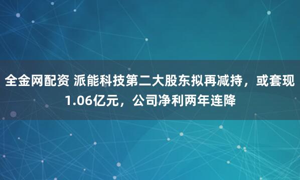 全金网配资 派能科技第二大股东拟再减持，或套现1.06亿元，公司净利两年连降