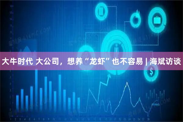 大牛时代 大公司，想养“龙虾”也不容易 | 海斌访谈